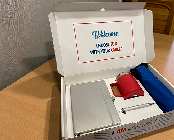 Custom Boxes Inserts