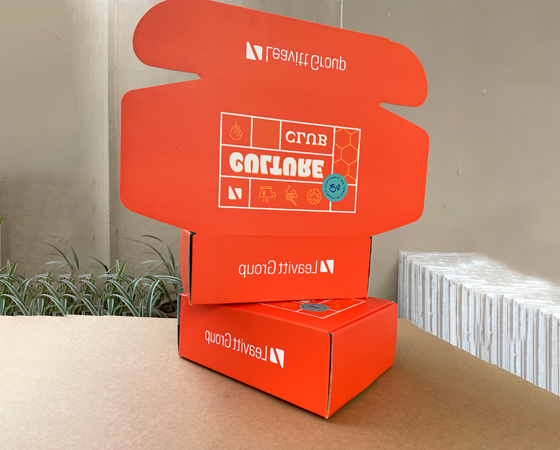 Custom Printed Mailer Boxes