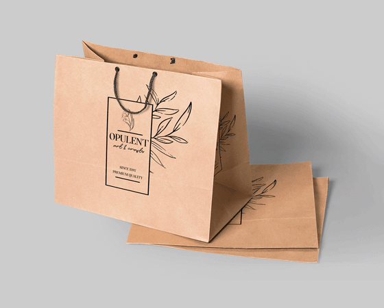 Printed Paper bags